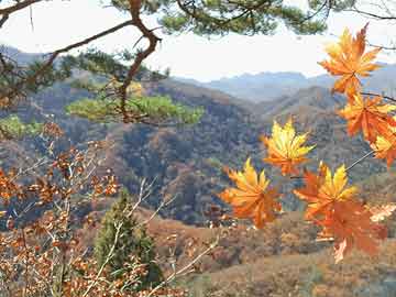 网上打胎药专卖微信巴菲特执掌60年，伯克希尔市值如何增长5.5万倍？详解五大经典投资案例