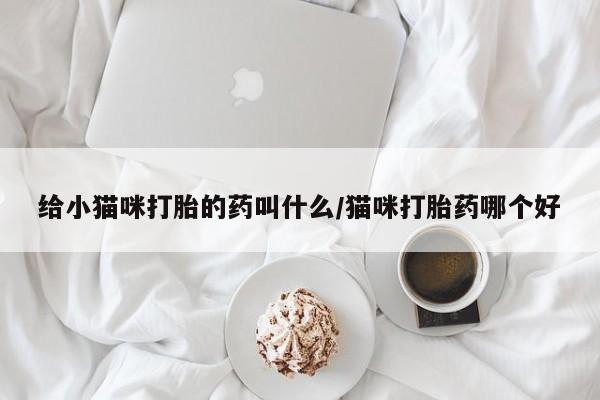 网上打胎药专卖微信给小猫咪打胎的药叫什么/猫咪打胎药哪个好