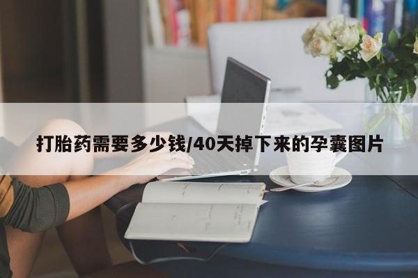 网上打胎药专卖微信打胎药需要多少钱/40天掉下来的孕囊图片